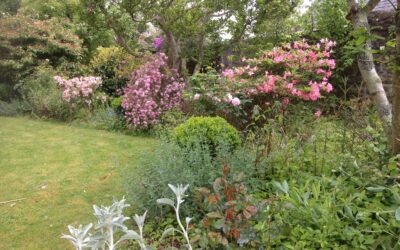 Le jardin des saisons