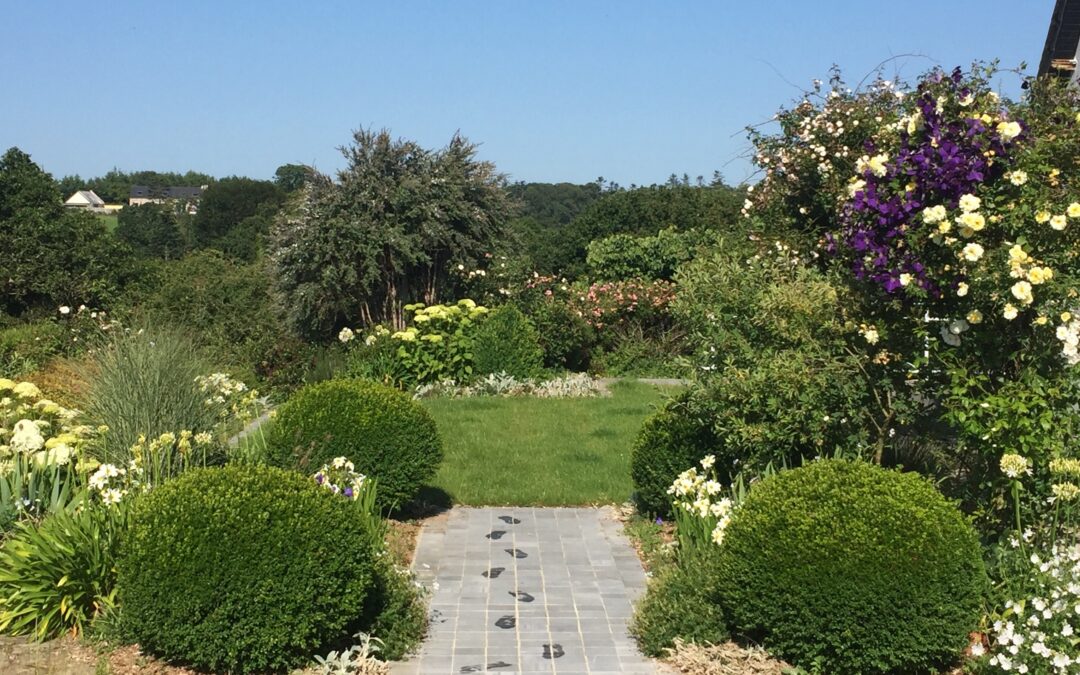 Circulations et lignes directrices